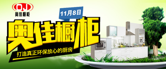 11月8日奥佳橱柜专场团购会