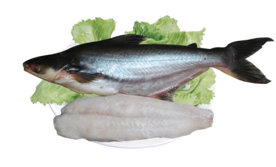 鳕鱼的基本信息,鳕鱼的营养价值,鳕鱼的做法,鳕鱼的习性_齐家网