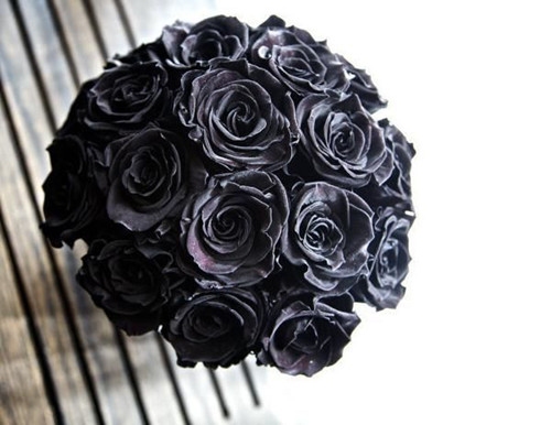 黑玫瑰你了解多少？黑玫瑰价格是多少