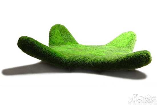 绿色草坪床