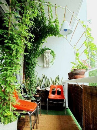 现代简约风格阳台室内植物效果图