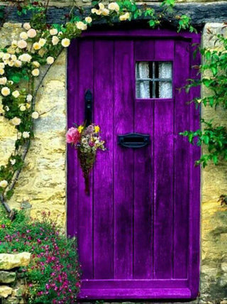 紫色木门效果图