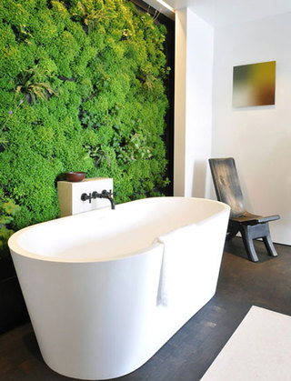 卫浴间里的绿植墙
