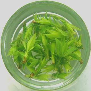 青山绿水茶