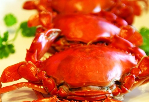 黄油蟹的营养价值
