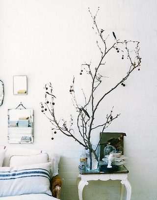 枯树枝完美点亮卧室