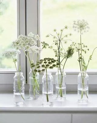 清新淡雅玻璃花器设计