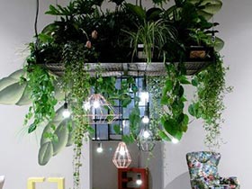绿色搭配你家 11个客厅植物摆放效果图
