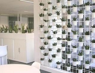 室内植物墙做法有哪些？