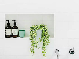 乐享“浴事” 11个卫生间植物摆放效果图