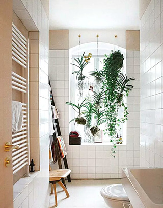 室内植物打造清新浴室图