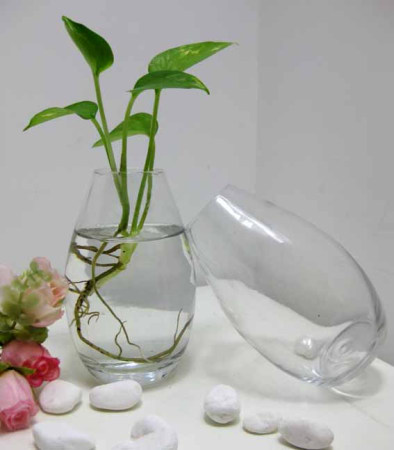 玻璃花瓶如何搭配