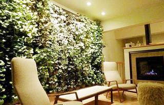 客厅植物背景设计图片