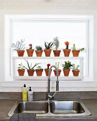 厨房窗户植物摆放效果图