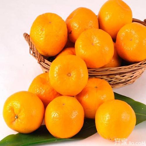 芦柑和橘子的区别,你能分清楚吗?