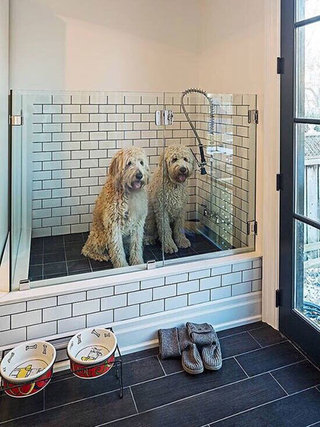 宠物浴室设计平面图片