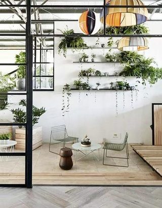 植物背景墙布置参考图