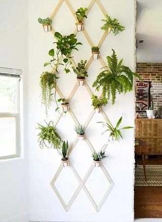 植物背景墙设计平面图