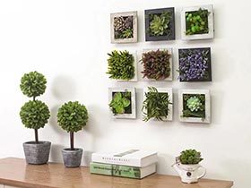 自然来装饰  10个植物背景墙效果图