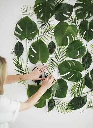 植物背景墙布置参考图