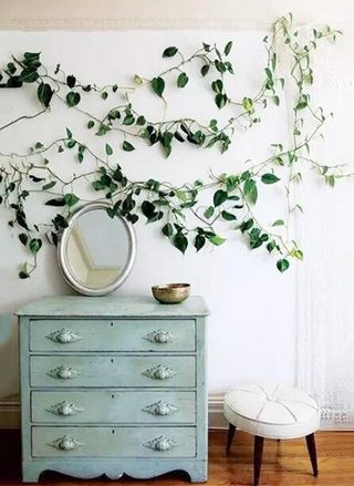 室内植物装饰柜设计图片