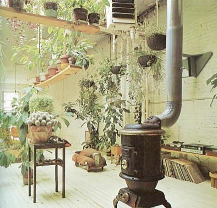 ,室内植物,客厅,阳台