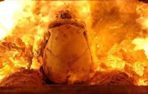 有钱了不起带你看看身价35个亿的王均瑶火葬场全过程