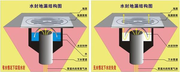 头一次知道阳台和卫生间不能用同一种地漏，怪不得我家阳台总臭