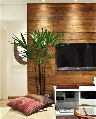 木质电视背景墙装修图片