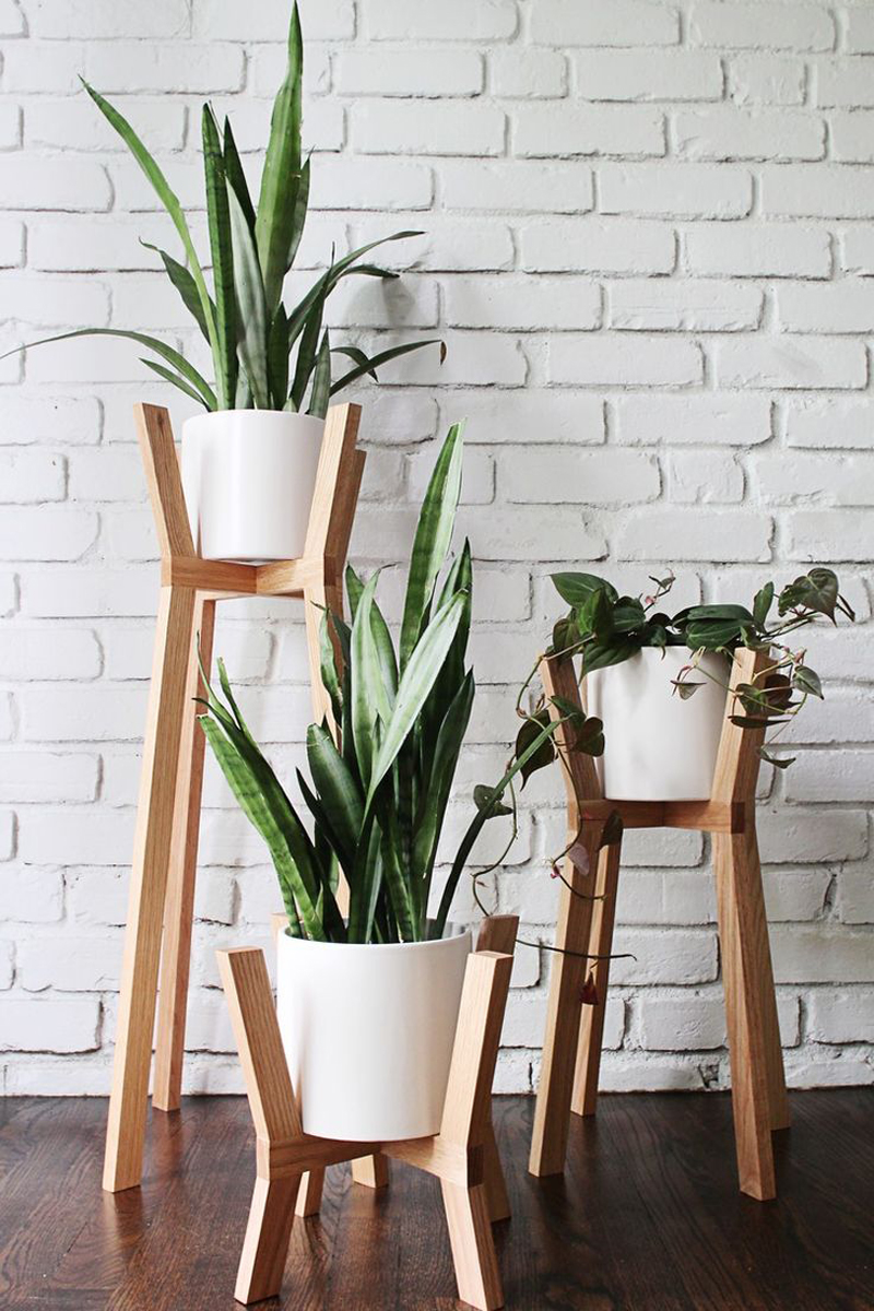indoor-plants-designrulz-13