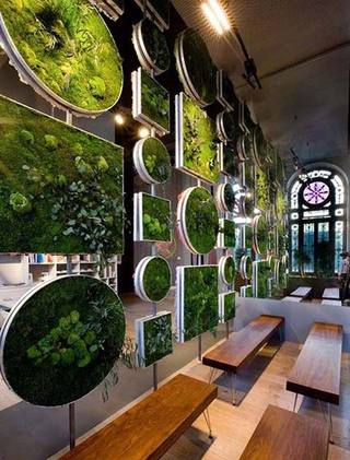 植物背景墙设计实景图