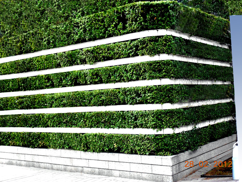 StripeVerticalGarden1607