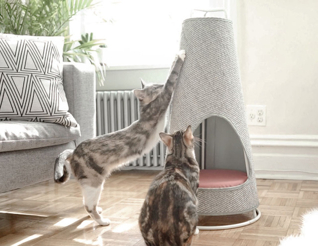 modern-cat-scratch-post-pink-cushion-090517-1137-03