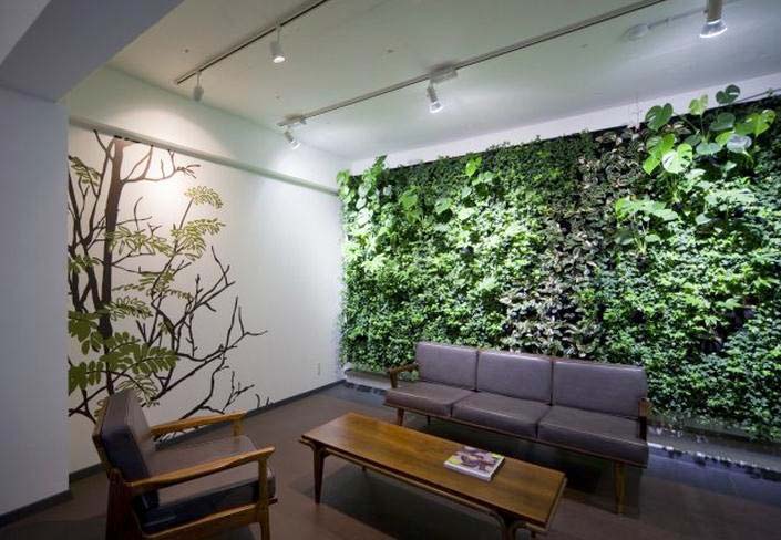 室内植物,客厅过道,客厅,