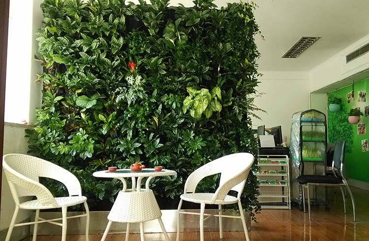 室内植物,客厅过道,客厅,