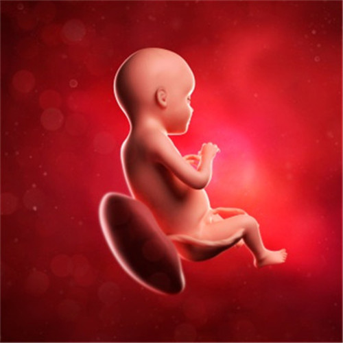 怀孕28周胎儿真实图图片