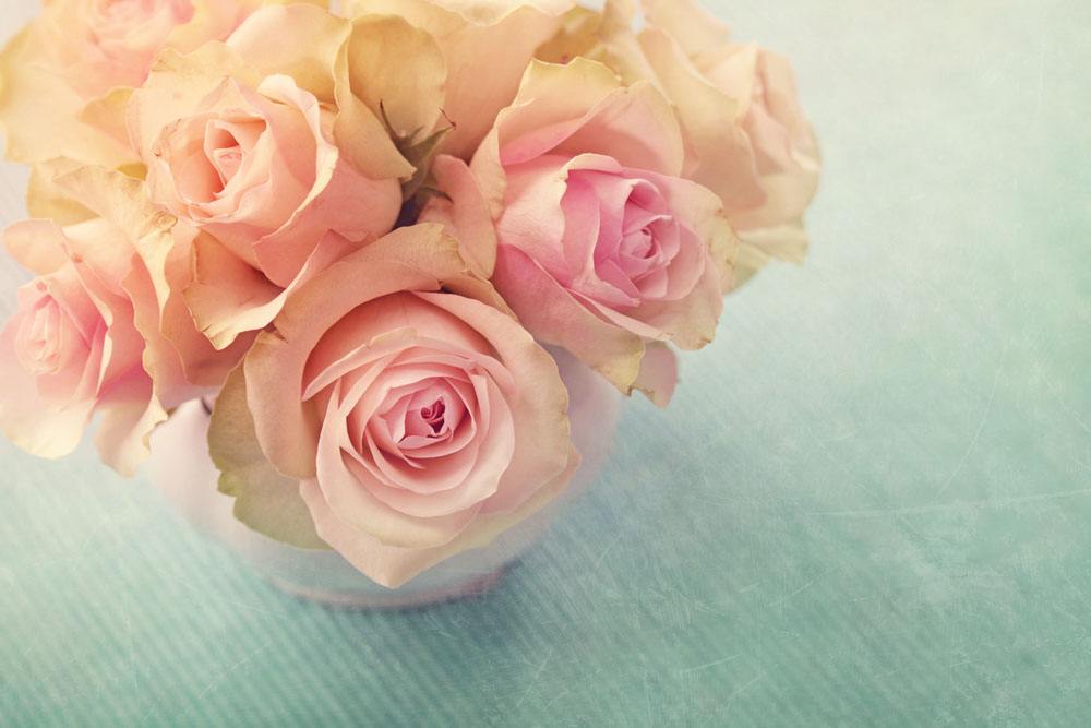 粉色玫瑰花语的含义 粉色玫瑰代表什么