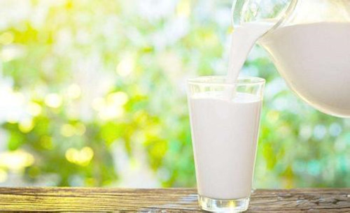 孕妇喝纯牛奶好吗 哪种奶制品更适合孕妇