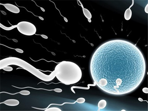 男人孕前检查项目 男性生殖健康标准表现在哪