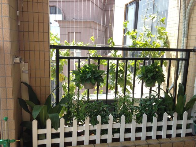 晒晒福州表妹的新家，客厅飘窗改成榻榻米，这么漂亮的阳台还是头一次见！