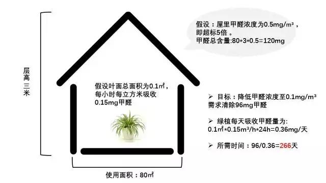 除甲醛终极指南！一帖终结你的所有疑问！