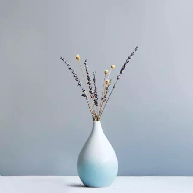 只知道用陶瓷花器养花？现在流行这样的，连仙人掌都能美出天际