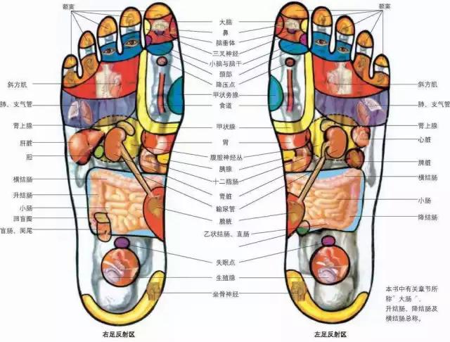 微信图片_20180408154101