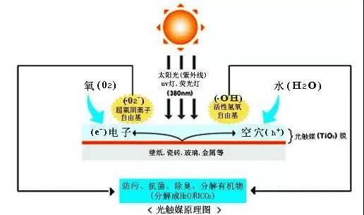 微信图片_20180630101346