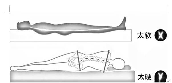腰不好，就睡硬板床？这是谁告诉你的