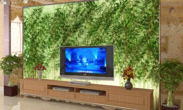 客厅电视机旁边摆什么植物好(客厅电视机旁边可以放什么植物最好)