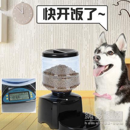 家有爱犬该怎么布置？这些物品让它秒变狗生赢家