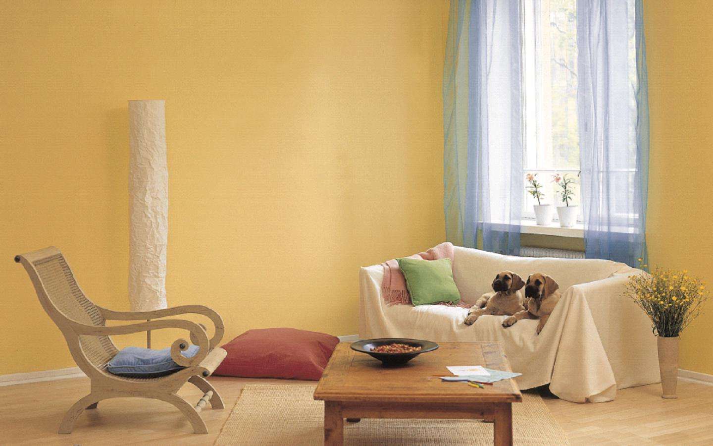 内墙漆颜色效果图 给你一个温馨舒适的家