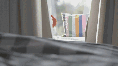 5.gif