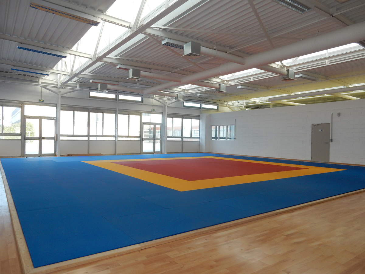 武术场馆装修效果图片